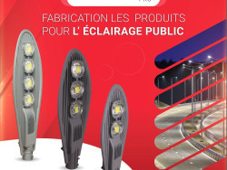 manufacturer LED public lighting luminaire algeria